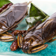 Illustration for article titled Why, How, and Where You Should Start Eating Bugs